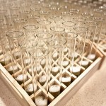 Living Market Company Photo Gallery