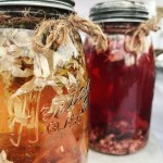 Living Market Company Photo Gallery